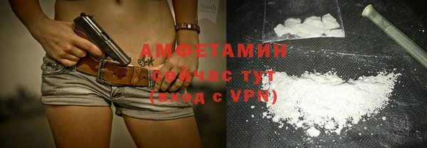 mdpv Бородино