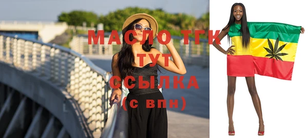 mdpv Бородино