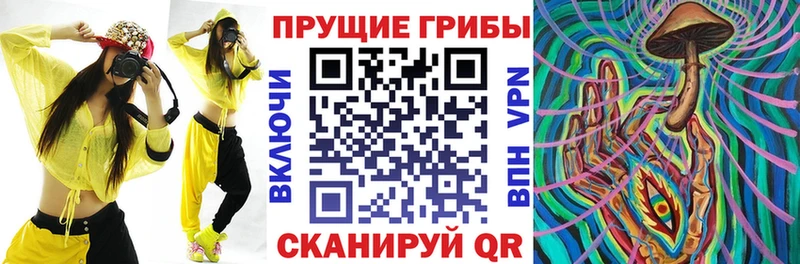 Псилоцибиновые грибы Psilocybine cubensis  omg онион  Невель 